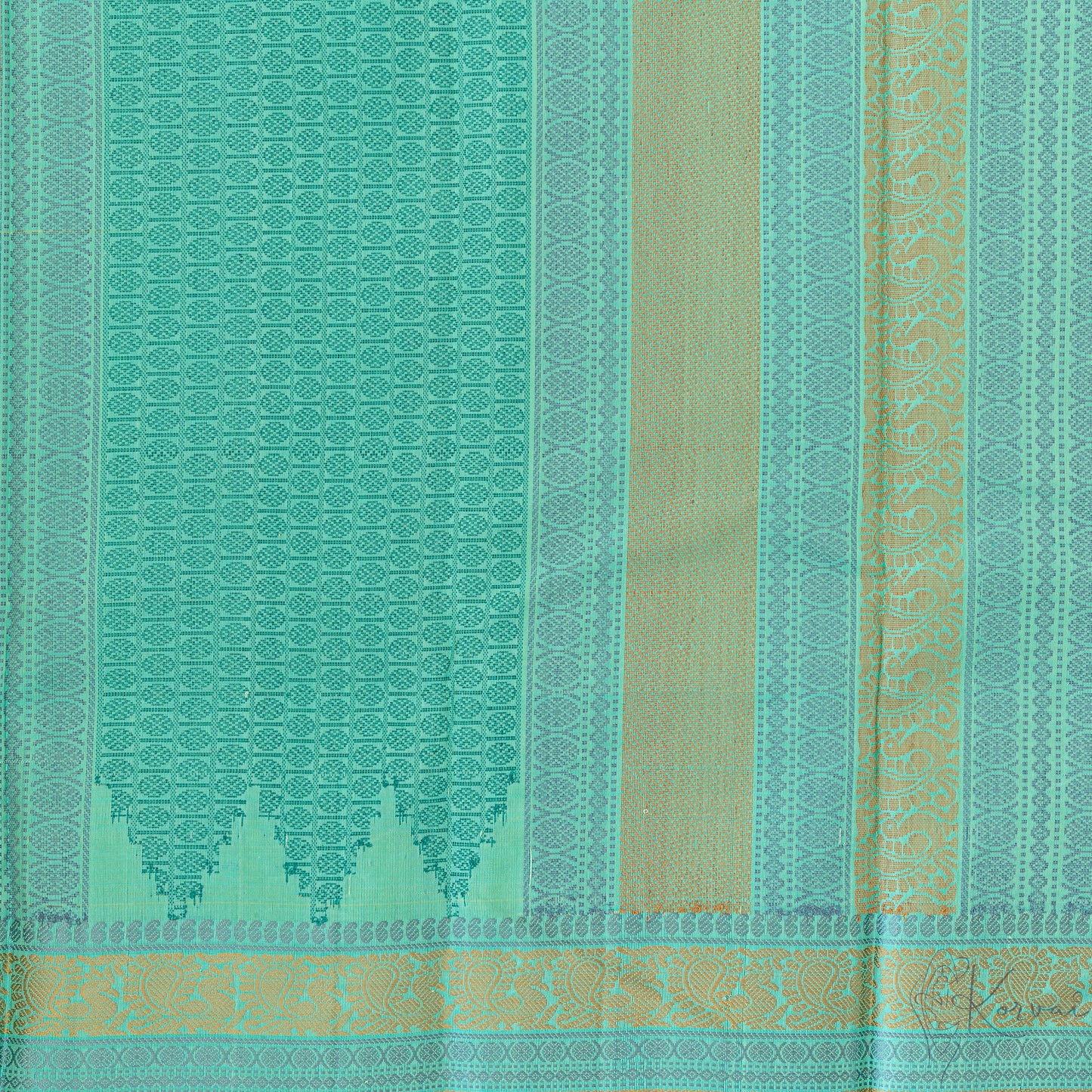 Closer view of pallu with peacock in teal and teal double border.