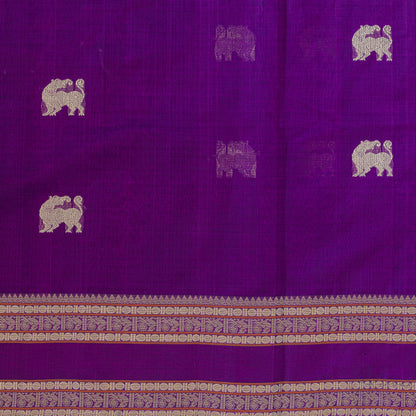 Closer view of violet body with yaali motifs and double border.