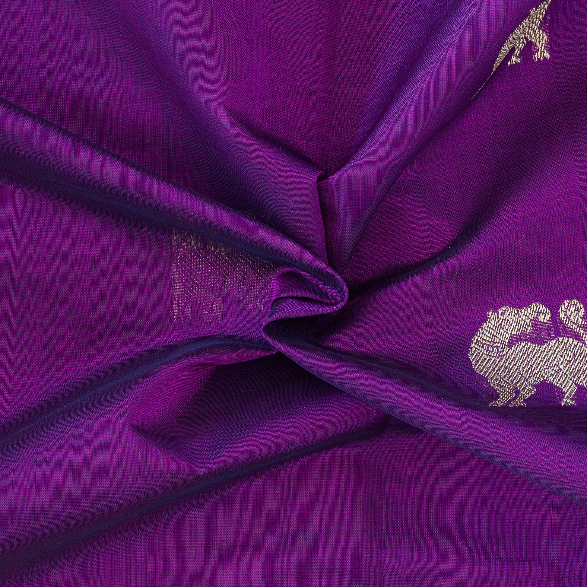 Closer view of violet body with yaali motifs and double border.