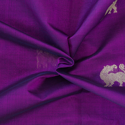 Closer view of violet body with yaali motifs and double border.