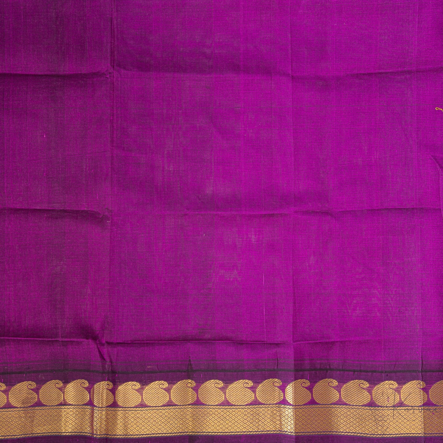 Closer view of purple blouse fabric with mango motifs in the border.